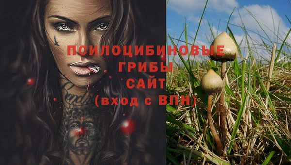 трава Володарск