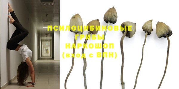 трава Володарск