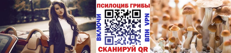 MEGA tor Смоленск Псилоцибиновые грибы мухоморы